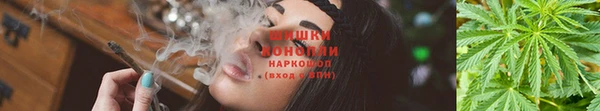 эйфоретик Медногорск