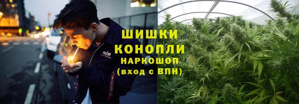 прущие крисы Лабытнанги