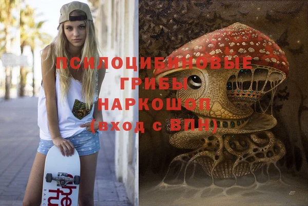 скорость Лагань