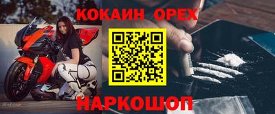 Альфа ПВП Кандалакша