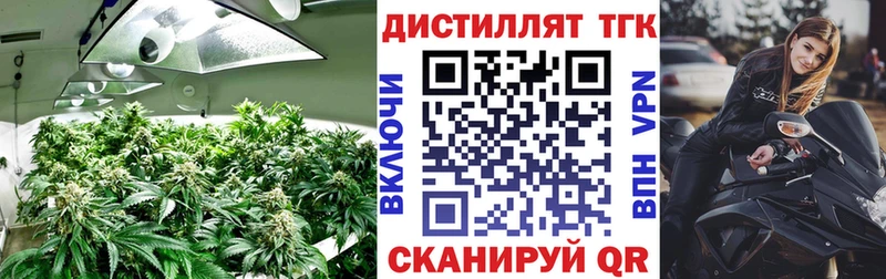 Дистиллят ТГК THC oil наркошоп Кольчугино