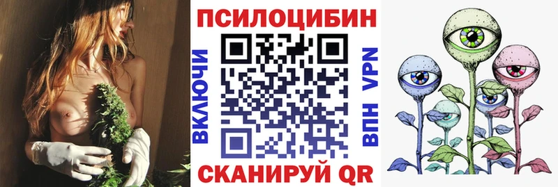 Галлюциногенные грибы Psilocybe кракен ONION Кольчугино