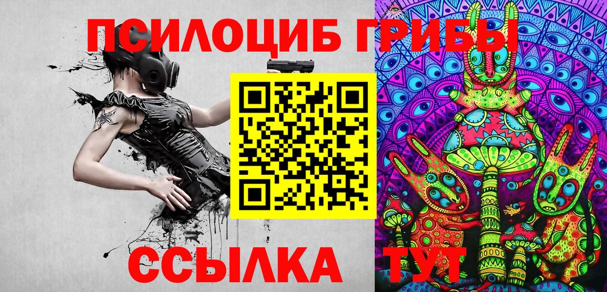Кольчугино  Галлюциногенные грибы GOLDEN TEACHER  Псилоцибиновые грибы MAGIC MUSHROOMS  Вход с VPN 