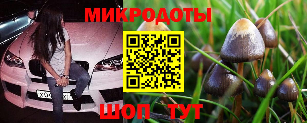 Псилоцибиновые грибы GOLDEN TEACHER Кольчугино